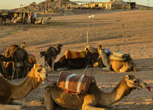 Aventure dans le désert d’Agafay