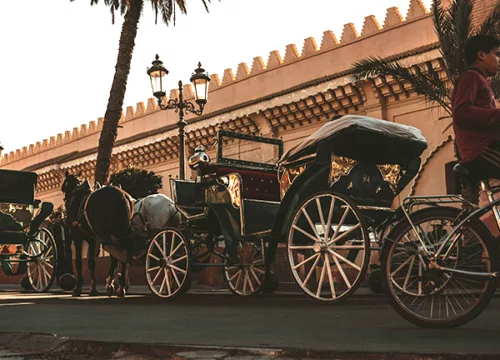 Balade en calèche à Marrakech