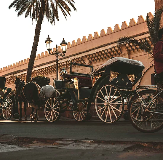 Balade en calèche à Marrakech
